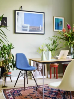 Vitra Eames DSR Fiberglass Stoel Zwart Onderstel, Parchment 30 Vitra Eames DSR Fiberglass Stoel Zwart Onderstel, Parchment -Vitra Verkoopwinkel x886x886 3897883eamesplasticchairdsweamesfiberglasschairdsrp gespiegelt moiremaster.jpg.pagespeed.ic .0 O8rKbEn