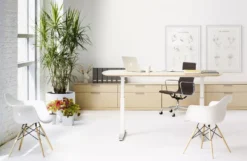 Vitra Eames DAW Stoel Geelachtig Esdoorn Onderstel, Wit 38 Vitra Eames DAW Stoel Geelachtig Esdoorn Onderstel, Wit -Vitra Verkoopwinkel x886x886 EN REN P 20130916 007 G.jpg.pagespeed.ic .9RRiZSwOWA 1