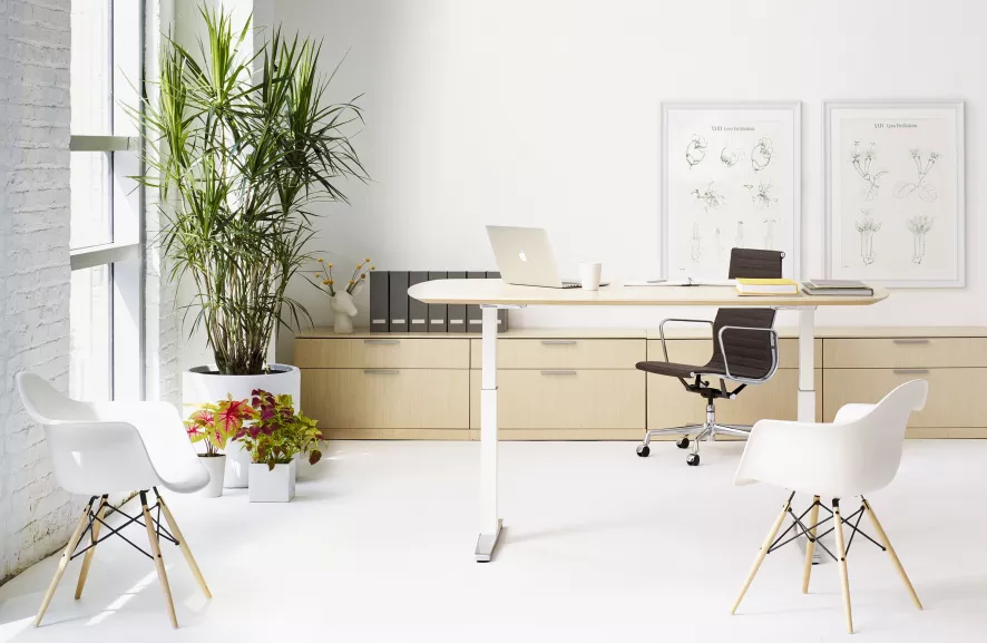 Vitra Eames DAW Stoel Geelachtig Esdoorn Onderstel, Ijsgrijs 19 Vitra Eames DAW Stoel Geelachtig Esdoorn Onderstel, Ijsgrijs - Afbeelding 19