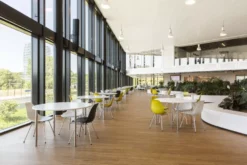 Vitra Eames DSX Stoel Verchroomd Onderstel, Ijsgrijs -Vitra Verkoopwinkel x886x886 Gispen Gemeente Groningen K5B3420.jpg.pagespeed.ic . 5sgazZnJq