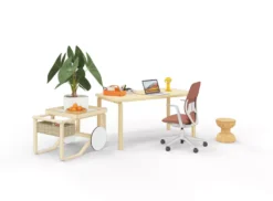 Vitra ACX Mesh Fixed Bureaustoel Grijs Onderstel Pine Green -Vitra Verkoopwinkel x886x886 vitra acx mesh fixed bureaustoel grijs onderstel7.jpg.pagespeed.ic .oJTNMeNVLS 2