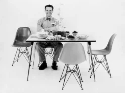 Vitra Eames DSW Fiberglass Stoel Essen Honing, Navy Blue -Vitra Verkoopwinkel x886x886 vitra eames dsr fiberglass stoel met verchroomd onderstel7.jpg.pagespeed.ic .Opu7847bZD
