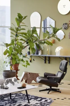 Vitra Eames Lounge Chair Met Ottoman Fauteuil (klassieke Afmetingen) Zwart 14 Vitra Eames Lounge Chair Met Ottoman Fauteuil (klassieke Afmetingen) Zwart -Vitra Verkoopwinkel x886x886 vitra eames lounge chair met ottoman fauteuil klassieke afmetingen2.jpg.pagespeed.ic .Vpy0IFMgRY