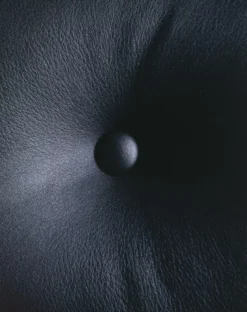 Vitra Lobby Chair ES 105 Fauteuil Leer Zwart -Vitra Verkoopwinkel x886x886 vitra lobby chair es 104 stoel8.jpg.pagespeed.ic .6bL8MgwOpp