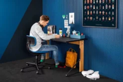 Vitra Rookie Bureaustoel Low Pink/Sierragrey, Grijs Onderstel 24 Vitra Rookie Bureaustoel Low Pink/Sierragrey, Grijs Onderstel -Vitra Verkoopwinkel x886x886 vitra rookie bureaustoel low f30 grijs4.jpg.pagespeed.ic .8YXhzGa9rU